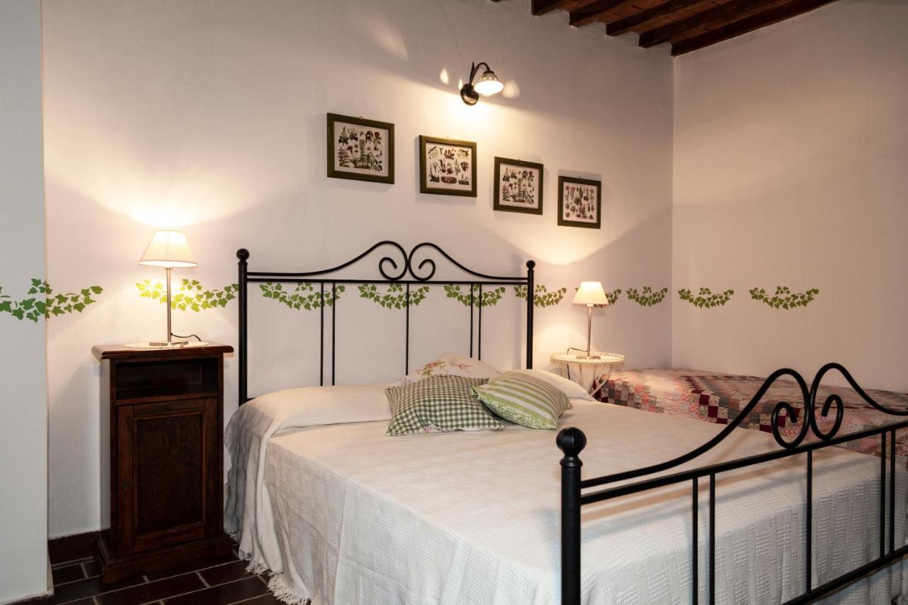 Agriturismo Il Belvedere Country Houses Massa Marittima Zewnętrze zdjęcie