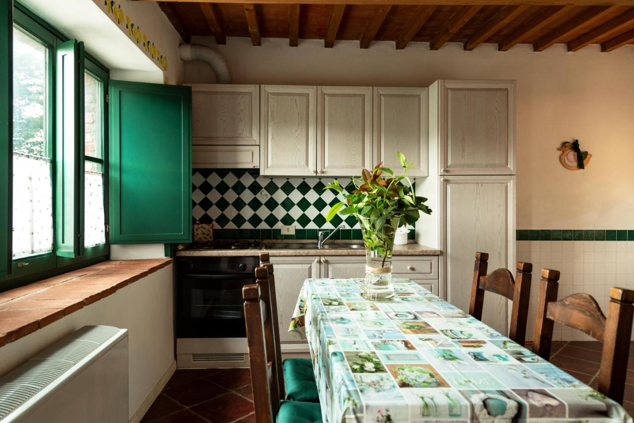 Agriturismo Il Belvedere Country Houses Massa Marittima Zewnętrze zdjęcie